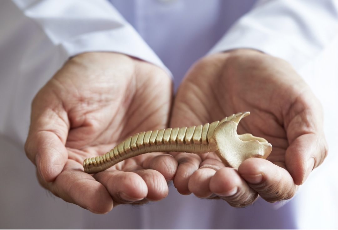 Qual o médico especialista em coluna?